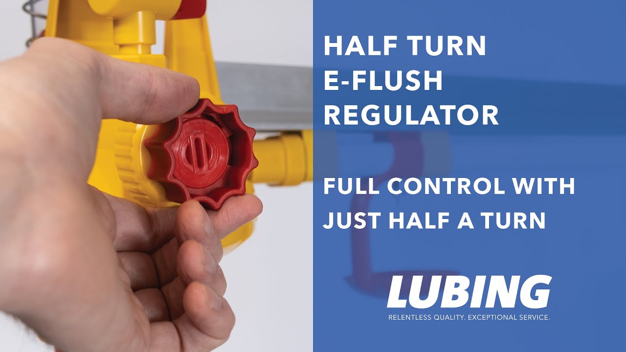 Getting to know the e Flush regulatory
