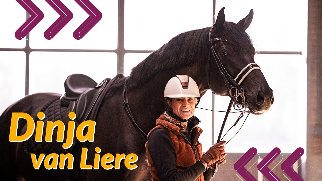 TRAUMPFERDE-ALARM 😍 Zu Besuch bei Dinja van Liere & ihren Hengsten 🐴 Emotionale Momente in Aachen ❤️