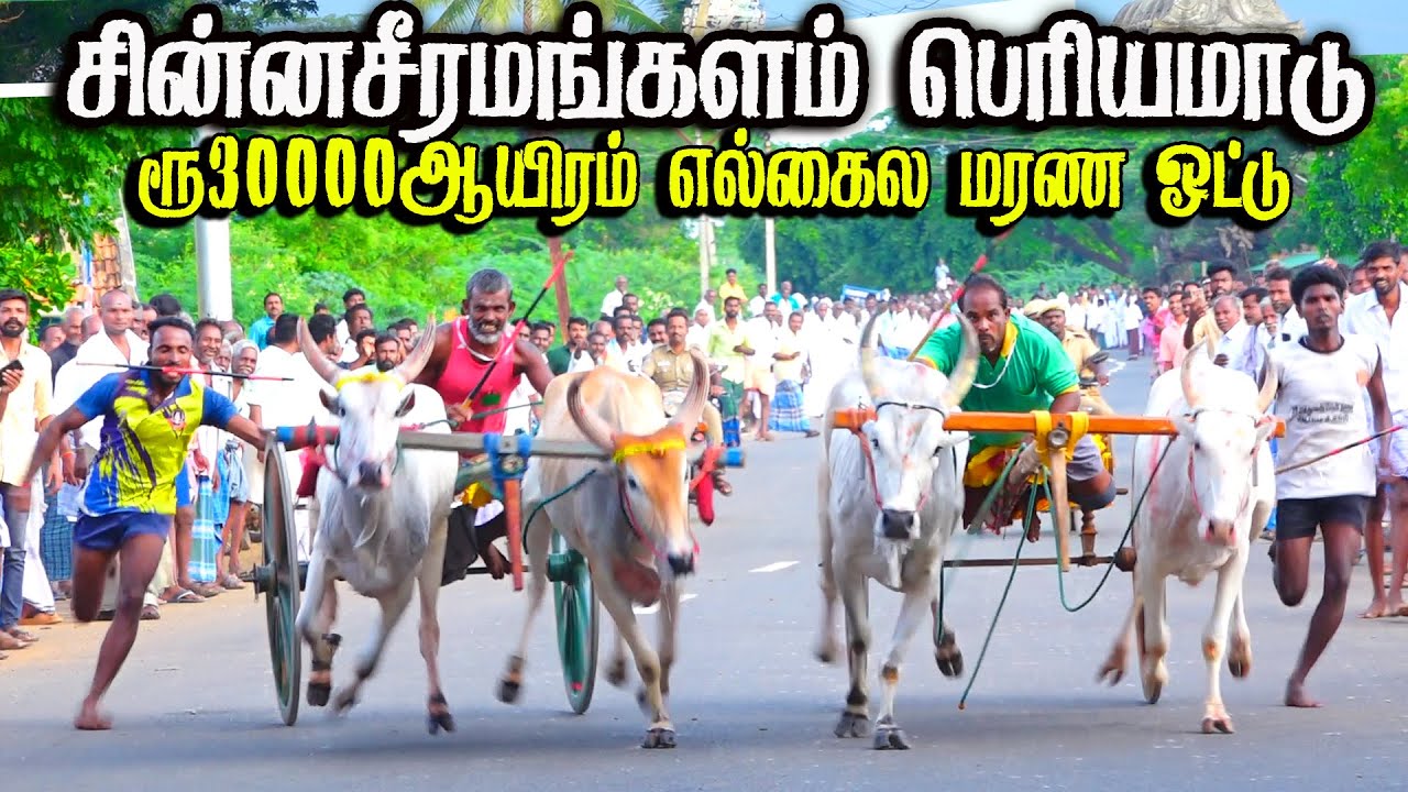 சின்னகீராமங்கள் - பெரியமாடு - பந்தயம் 26.06.2024