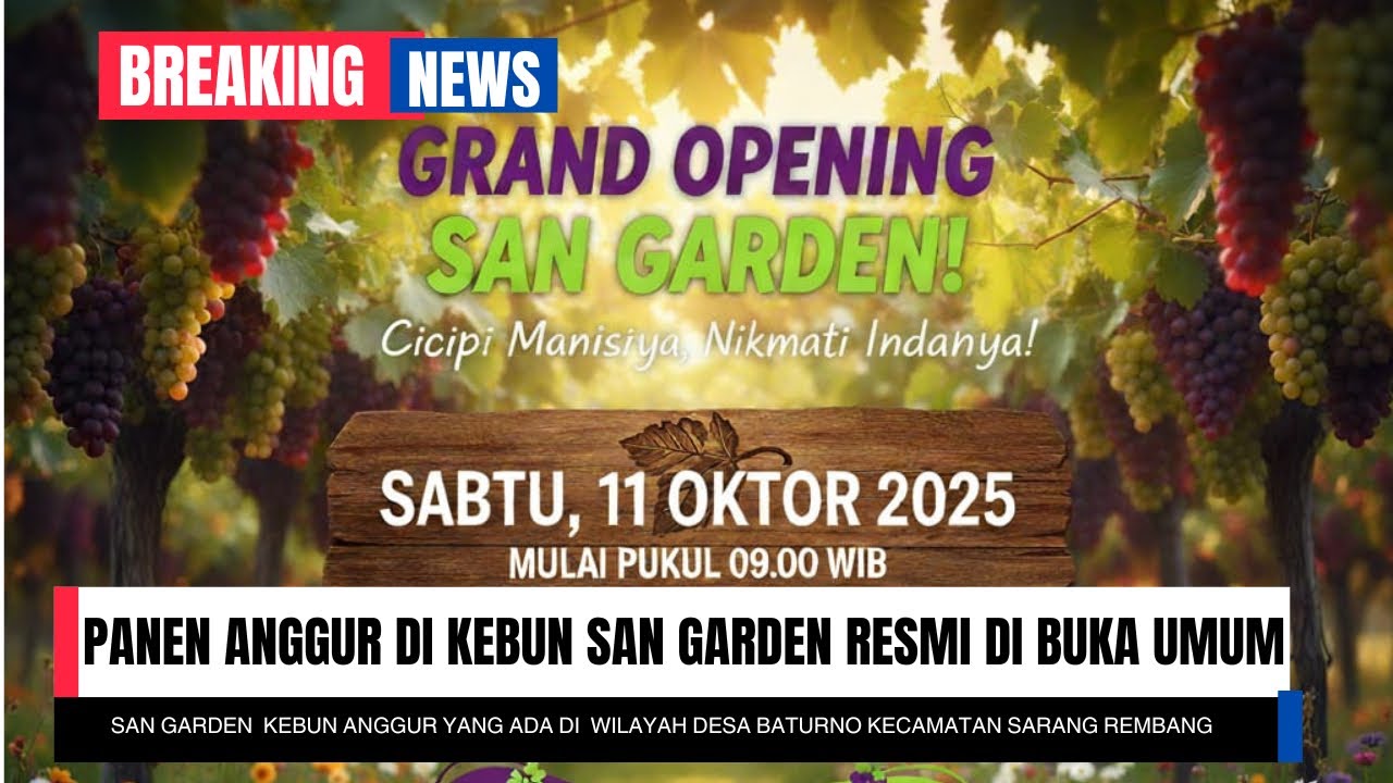 Penen di Kebun Anggur !! di San Garden Cukup 5.000 ribu sepuasnya 