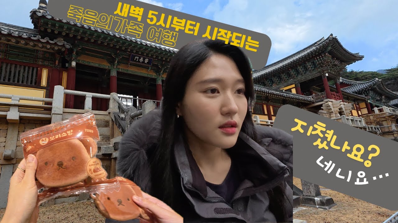 새벽 5시부터 출발하는 죽음의 가족 여행 1탄 | 서울~대전~경주를 12시간만에 찍기 | 성심당 오픈런🥖 | 찰보리스빵🐻 | 불국사에서 🐖동상 