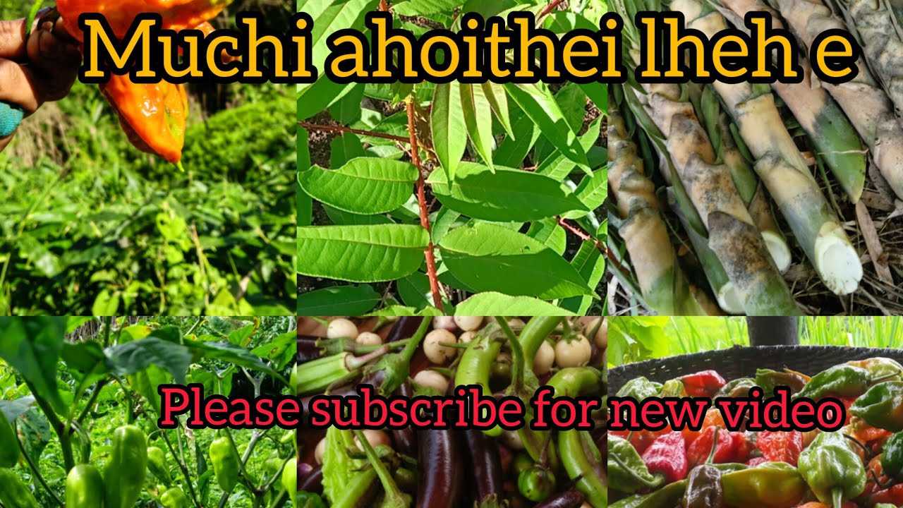 THINGLHANG LOUJAO||SONGKOT HENGLEP AREA FULL VIDEO
