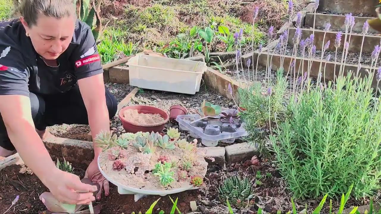 Do lixo ao luxo! Transformei o batedor da máquina em um vaso de suculentas incrível!