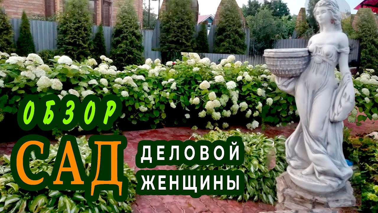 Сад ДЕЛОВОЙ ЖЕНЩИНЫ Яркий, цветочно-ягодный, ароматный!