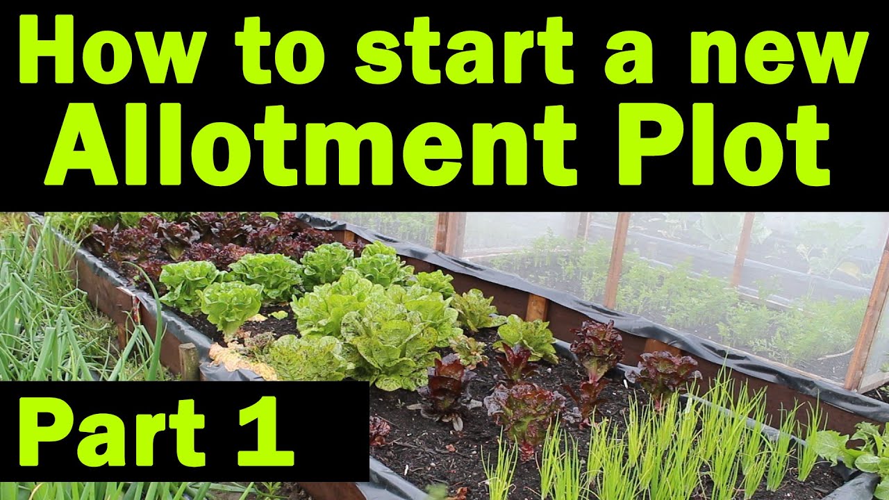Start a new Allotment Plot | Where to start | Allotment Garden | Things you need to know | Part1