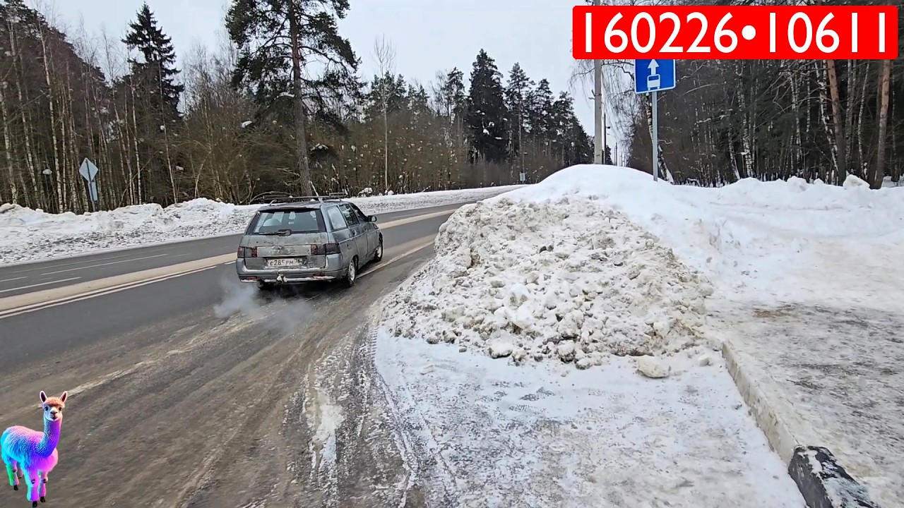 160226•10611🦙Альпакины Моменты🔴Дорога в Москву