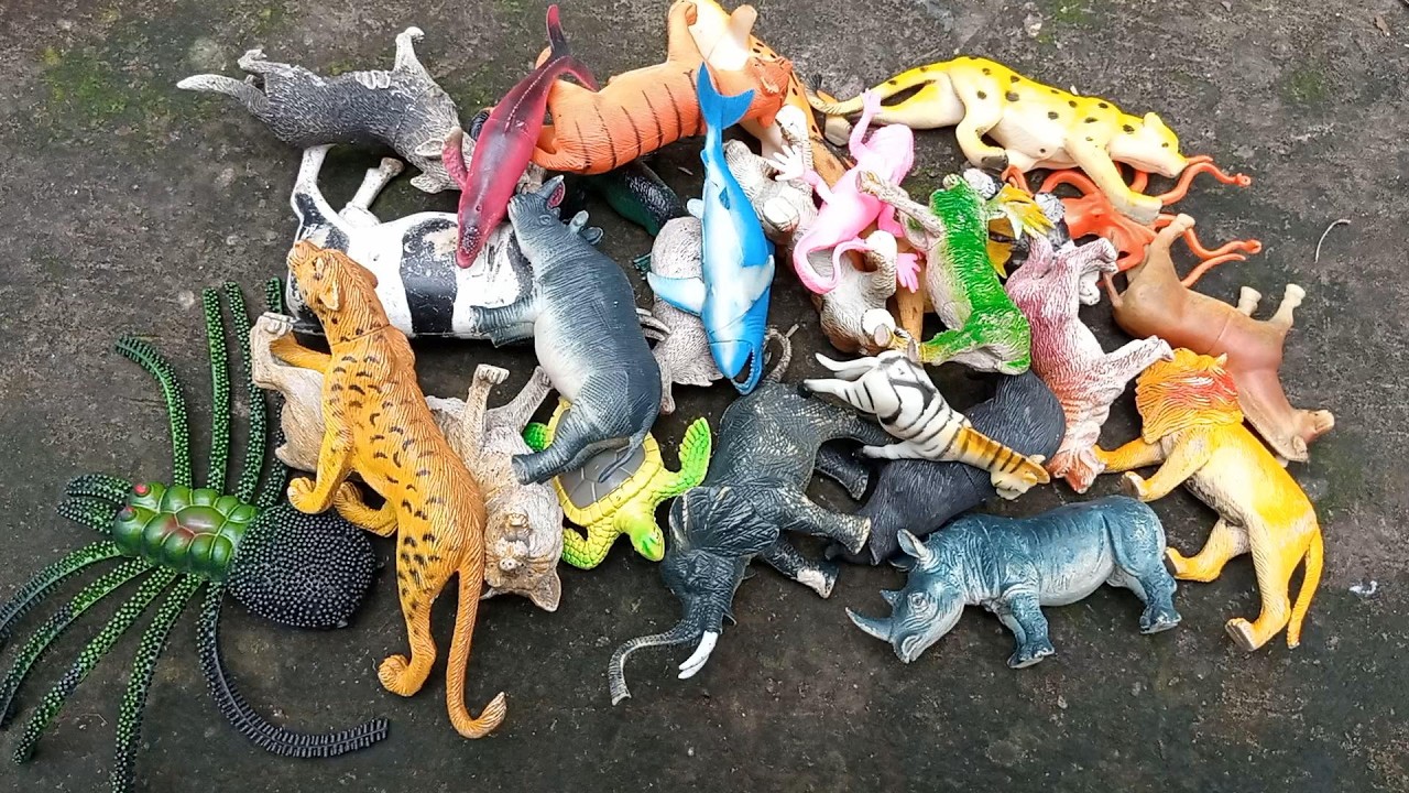 2 Minutes Statisfying Exploring and Review 20+ Wild Animal Toys Figure Collection