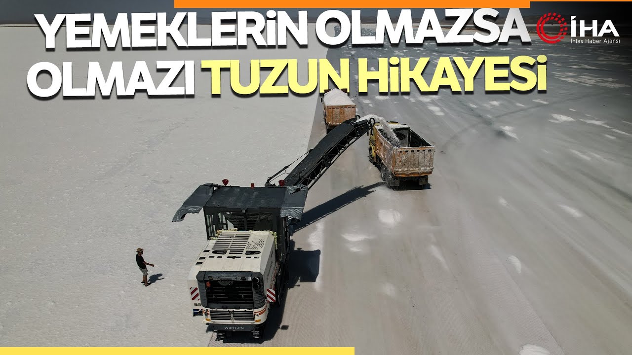 Tuzun Kavurucu Sıcak Altındaki Hasadına Başlandı