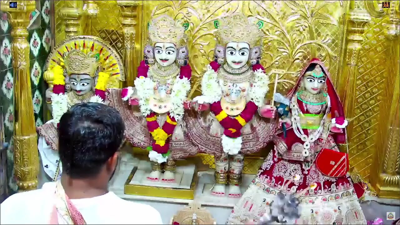 આજ રોજ ગઢપુર ગોપીનાથજી તથા અન્ય દેવો ની શણગાર આરતી ૨૩/-૦૬-/૨૦૨૫ #gopinath #viralvideo