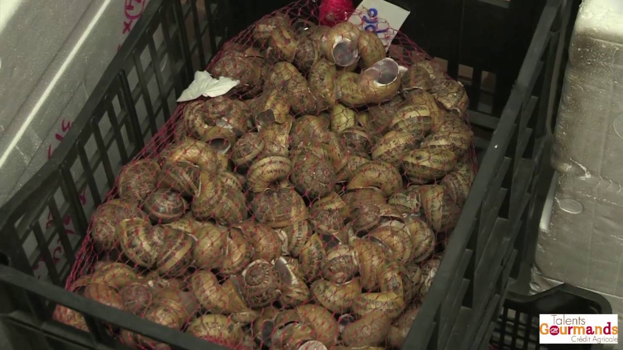 Marie José Farey Franche Comté Talents Gourmands 2015