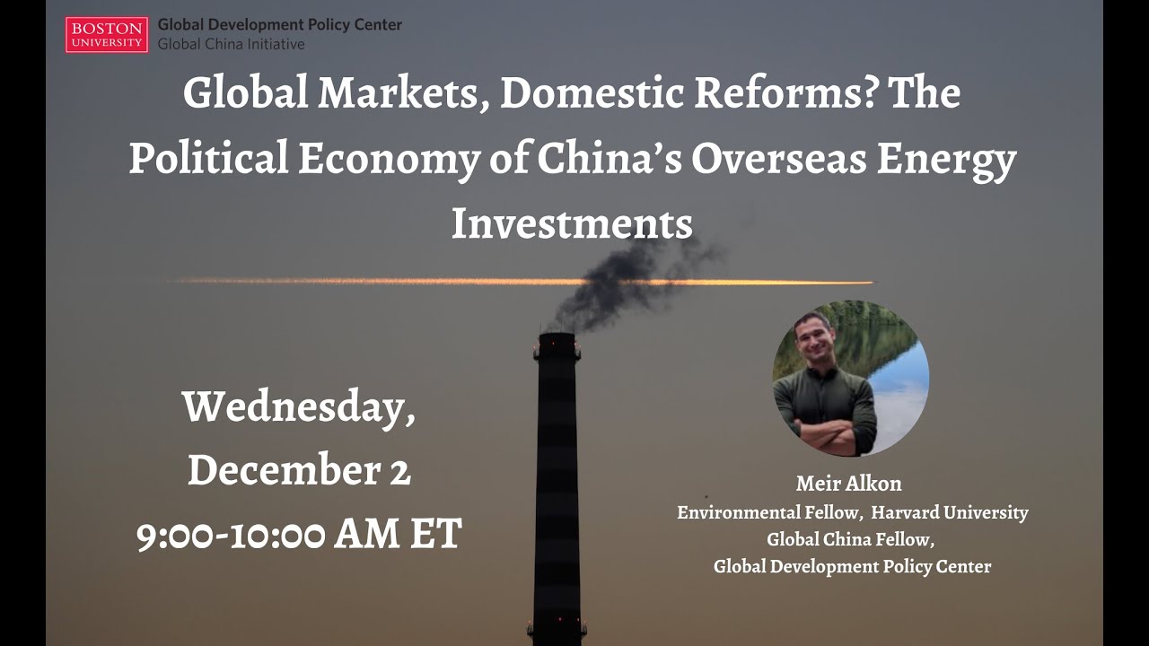 Global Markets, Domestic Reforms? The Political Economy of China&rsquo;s Overseas Energy Investments
