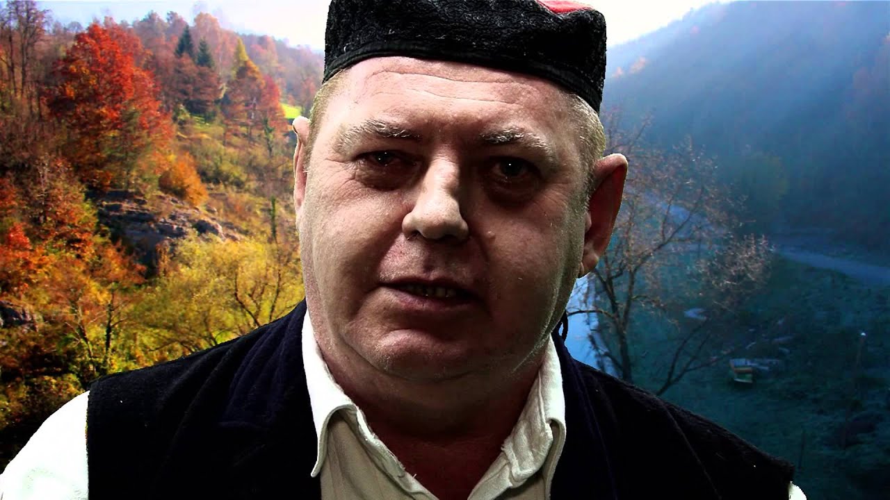 Zdenko Nik&scaron;ić   Vječni sokol ( IN MEMORIAM 15. 03. 2014.)