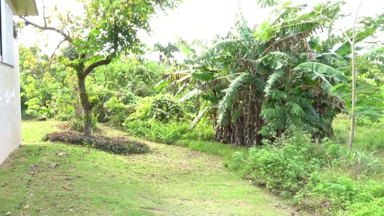Dead body found in Mangilao backyard startles elderly homeowners