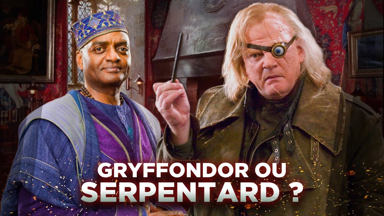 TOP 7 des PERSONNAGES importants SANS MAISON à POUDLARD (HARRY POTTER)