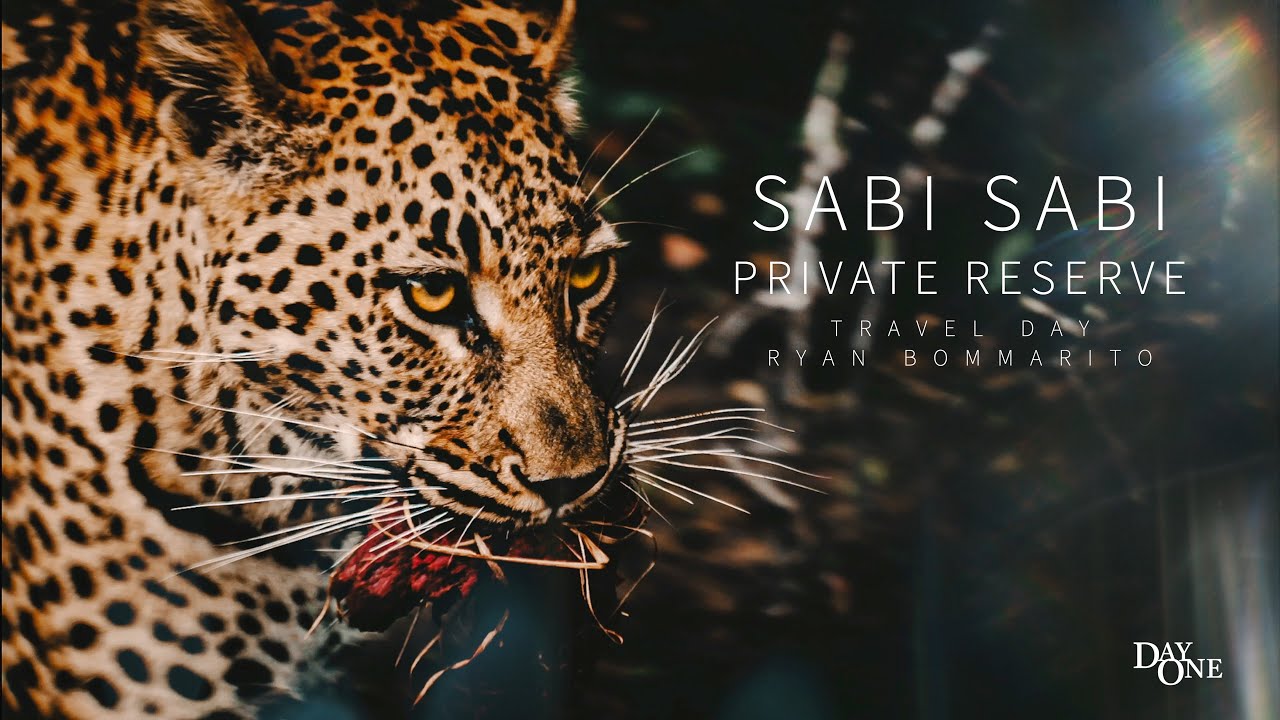 TRAVEL - DAY 1 AFRICA - BUSH LODGE SABI SABI // RYAN BOMMARITO