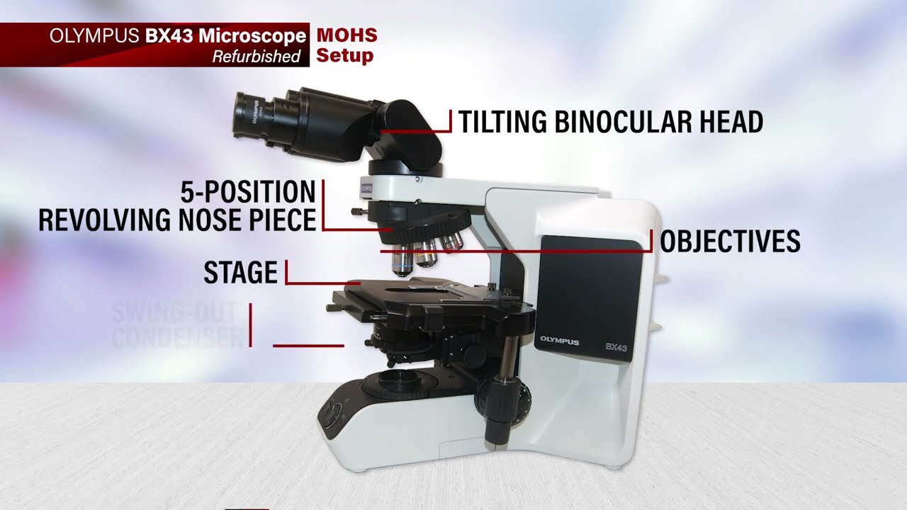 Olympus BX43 Refurbished Microscope