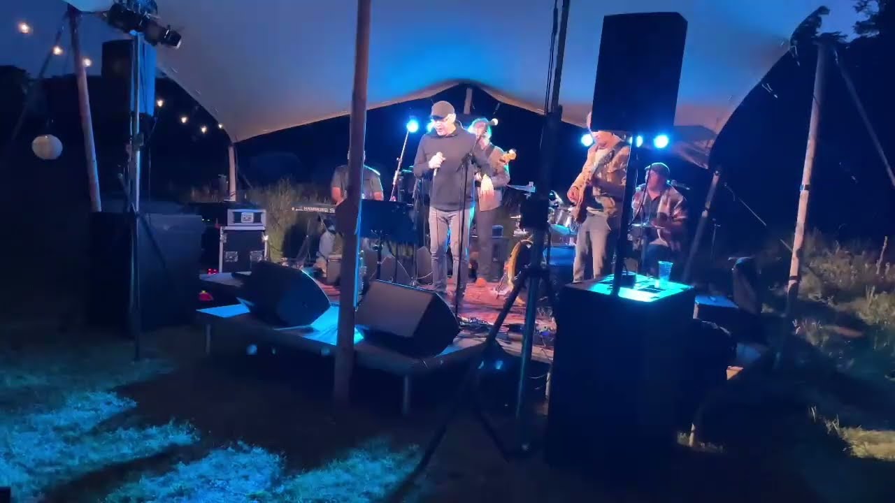 Blues Factor Live@Festival  6 7 2024