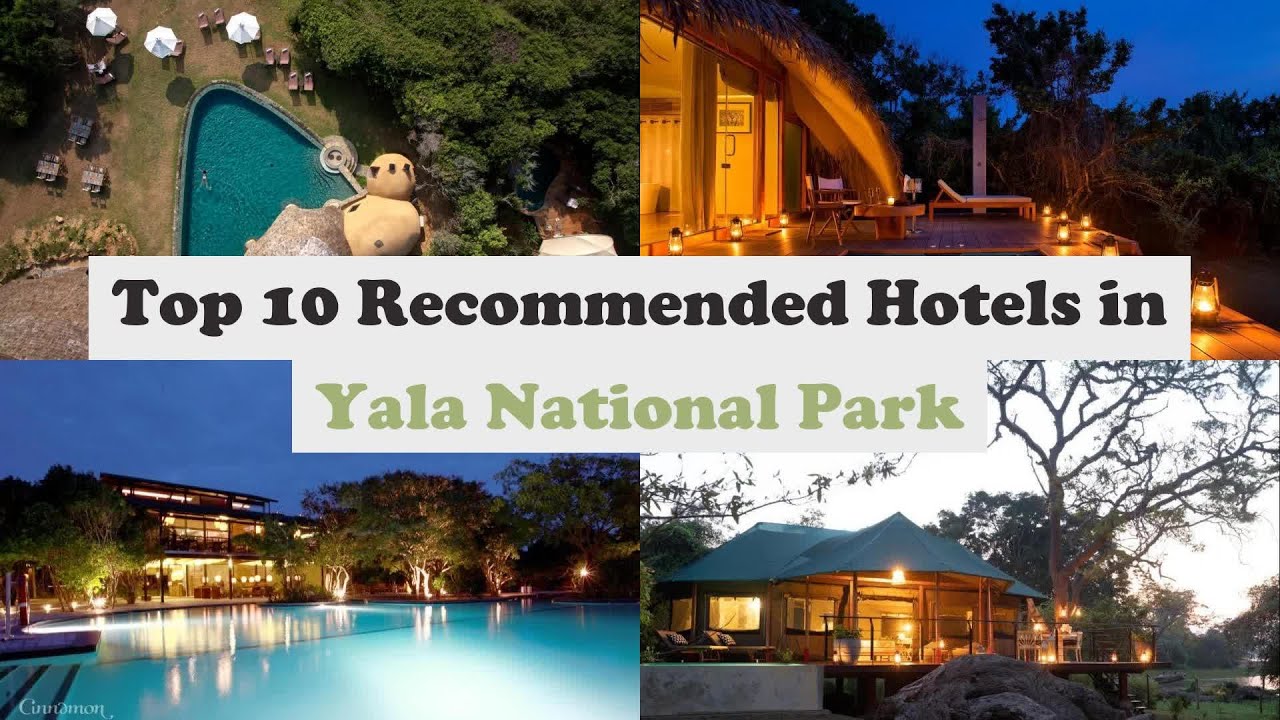 Top 10 Recommended Hotels In Yala National Park | Luxury Hotels In Yala National Park