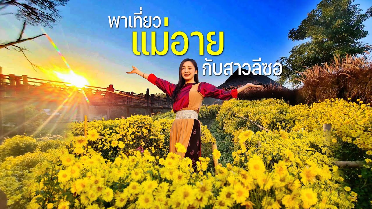 สาวลีซอพาชมสวนดอกไม้บรรยากาศยามเย็นพระอาทิตย์ใกล้ลับขอบฟ้าที่ร้อยใจรักษ์ #ลมหนาวพัดมาแคมป์ปิ้ง69