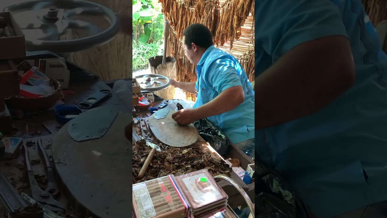 So this is how you make cigars, in the Dominican Republic!! #dominicanrepublicvacation #cigars