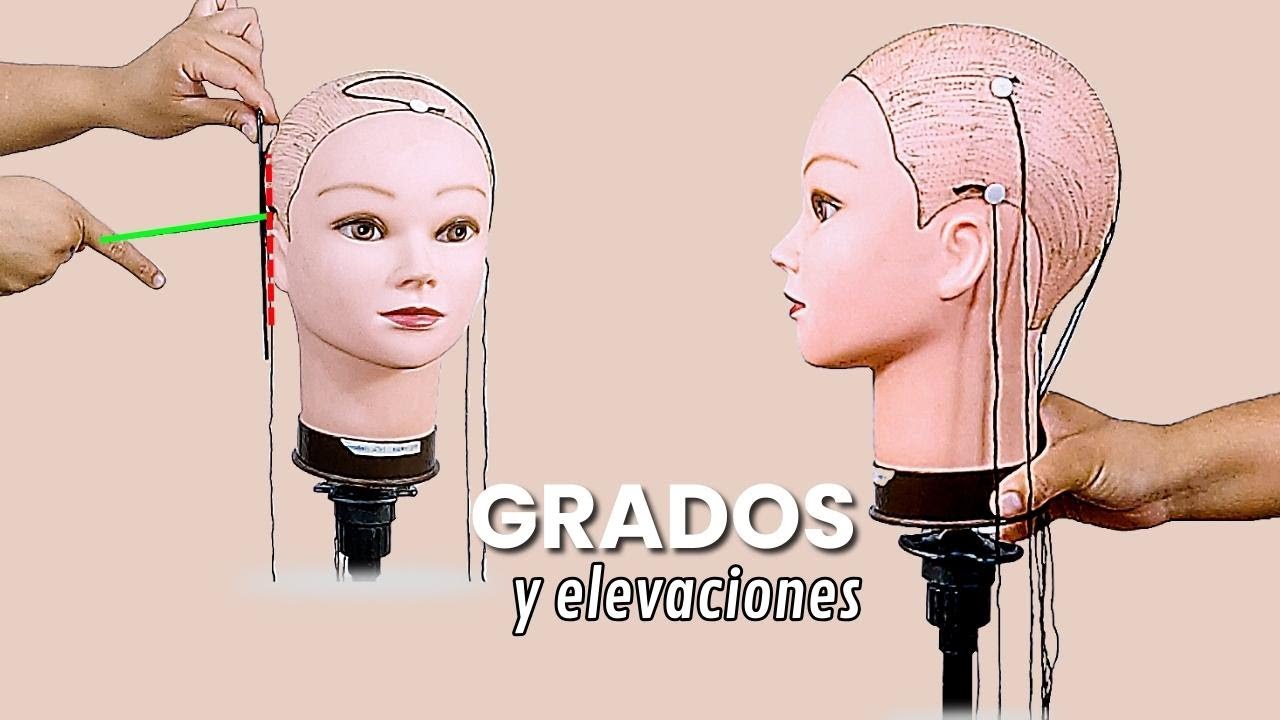 🔴CUALES SON LOS GRADOS DE CORTE Y ELEVACIÓN [Explicación Completa]