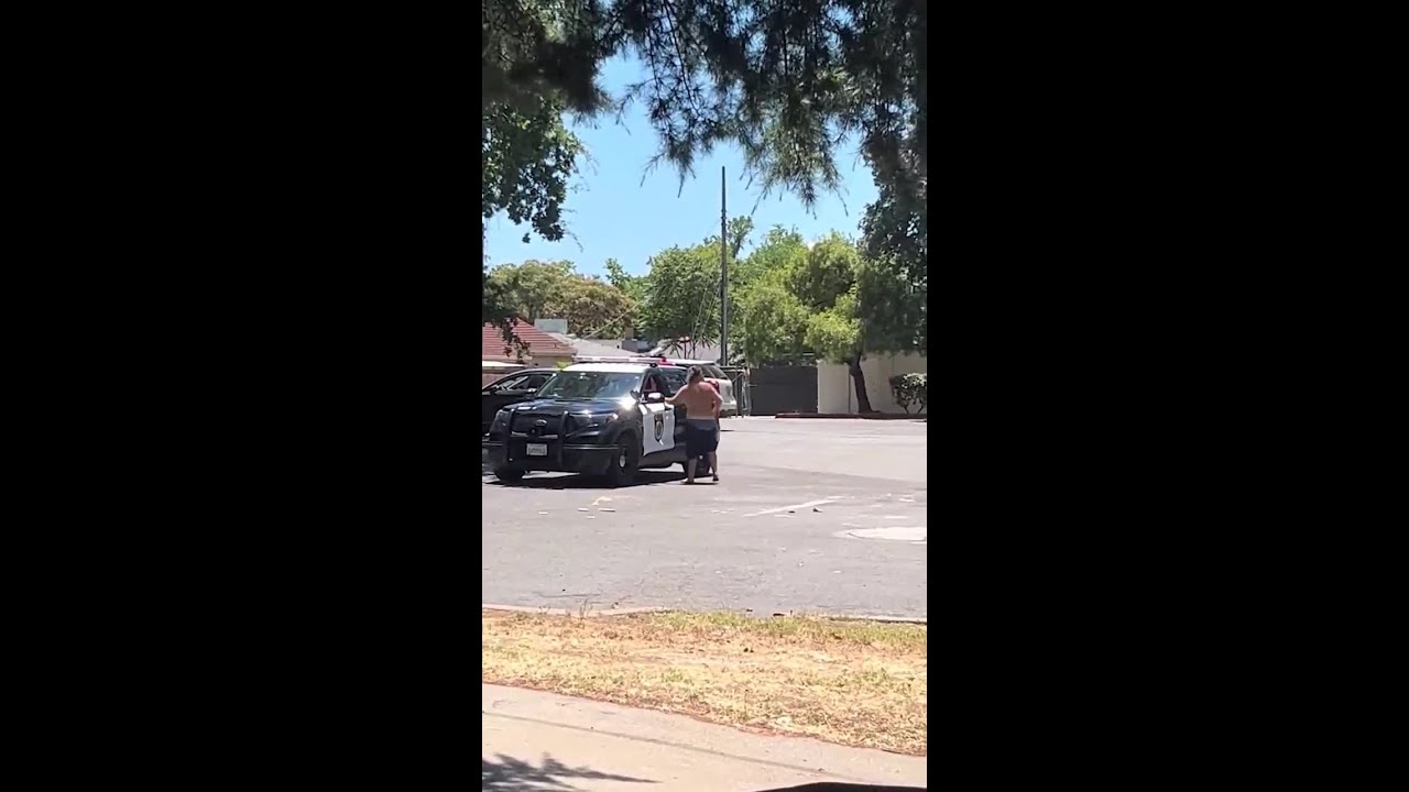 Suspect steals police car before massive highway chase