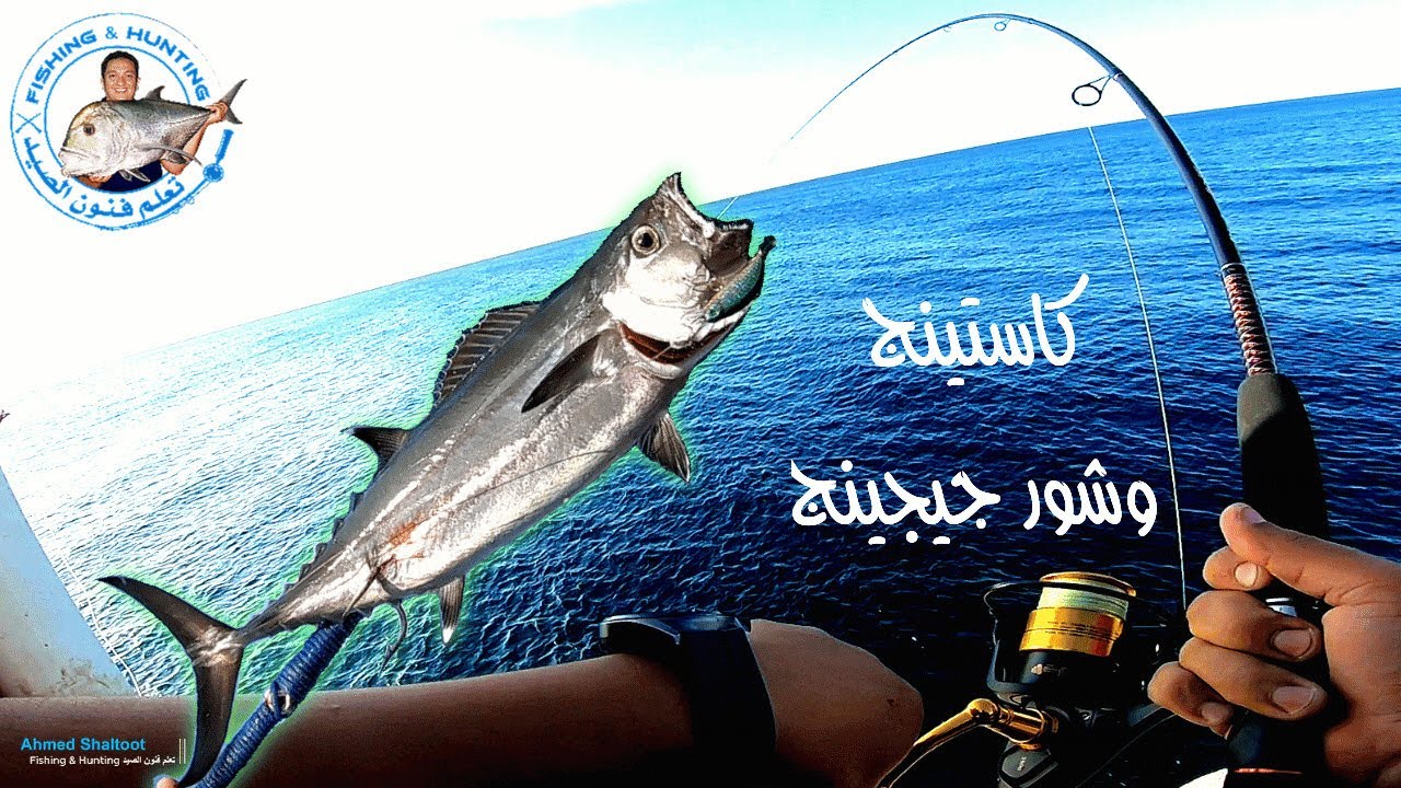 كاستينج وشور جيجينج