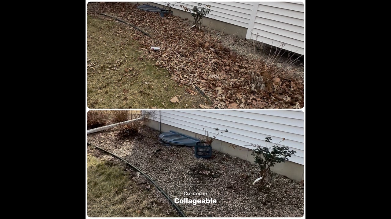 Full Yard Cleanup Transformation | 5 Hours in 30 Minutes