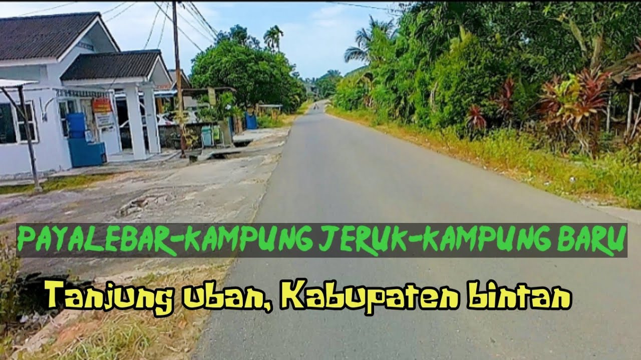 jalan pintas zaman now, payalebar - kampung jeruk - kampung baru kabupaten bintan, kepulauan riau