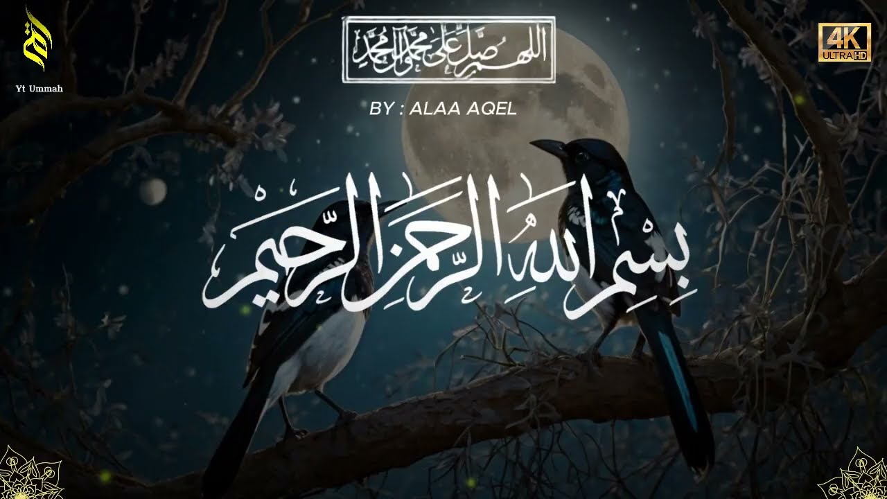 Quran recitation in a peaceful voice I Alfatiha, ayat alkursi, yasin, alwaqiah, arrahman, Alaa aqel