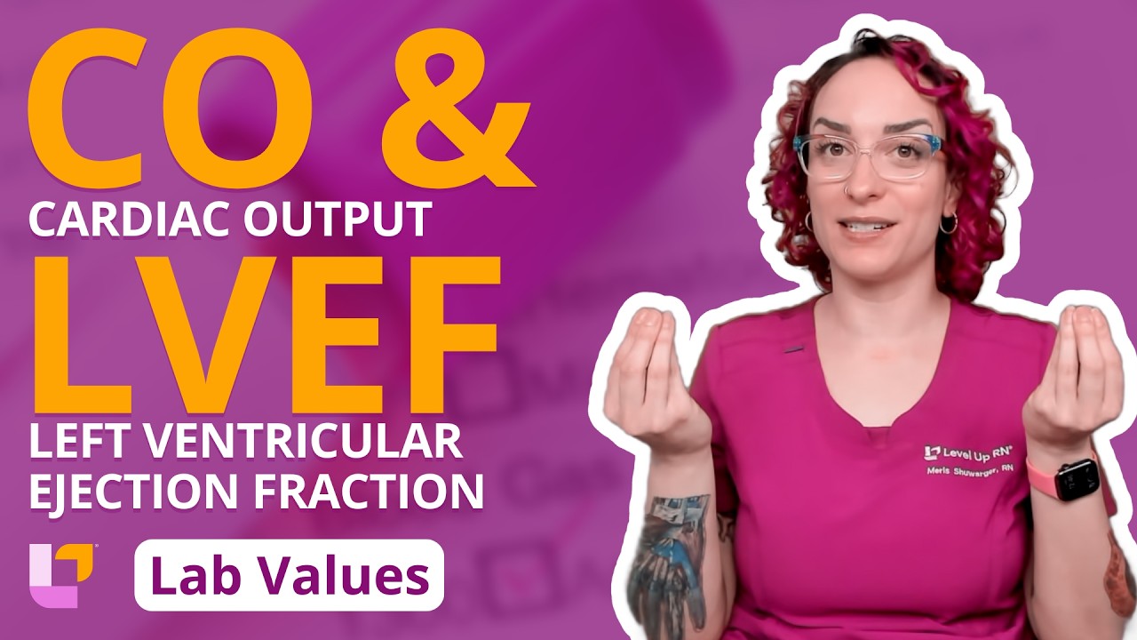 Cardiac Output (CO) & Left Ventricular Ejection Fraction (LVEF): Adult Lab Values | @LevelUpRN