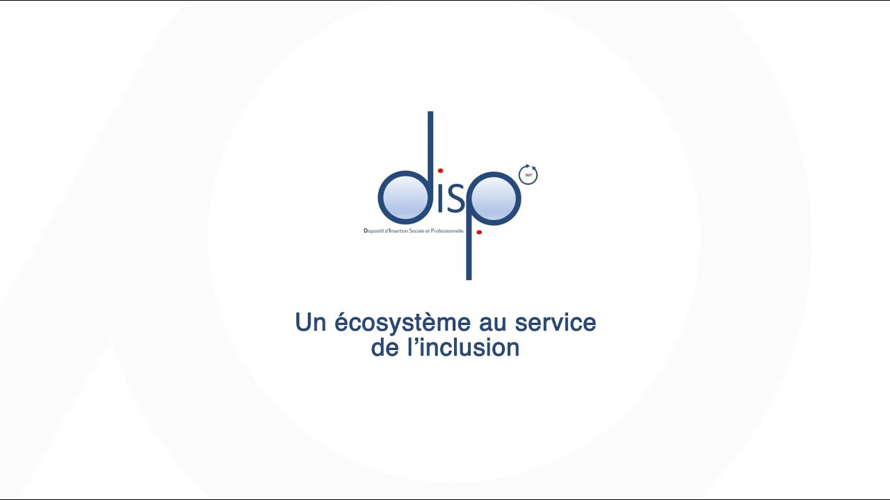 Dispositif d'Insertion Sociale et Professionnelle