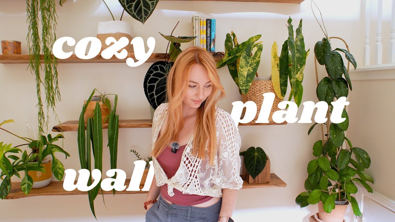 plant shelf makeover 🌿 how I style plants for a cozy home 🏡