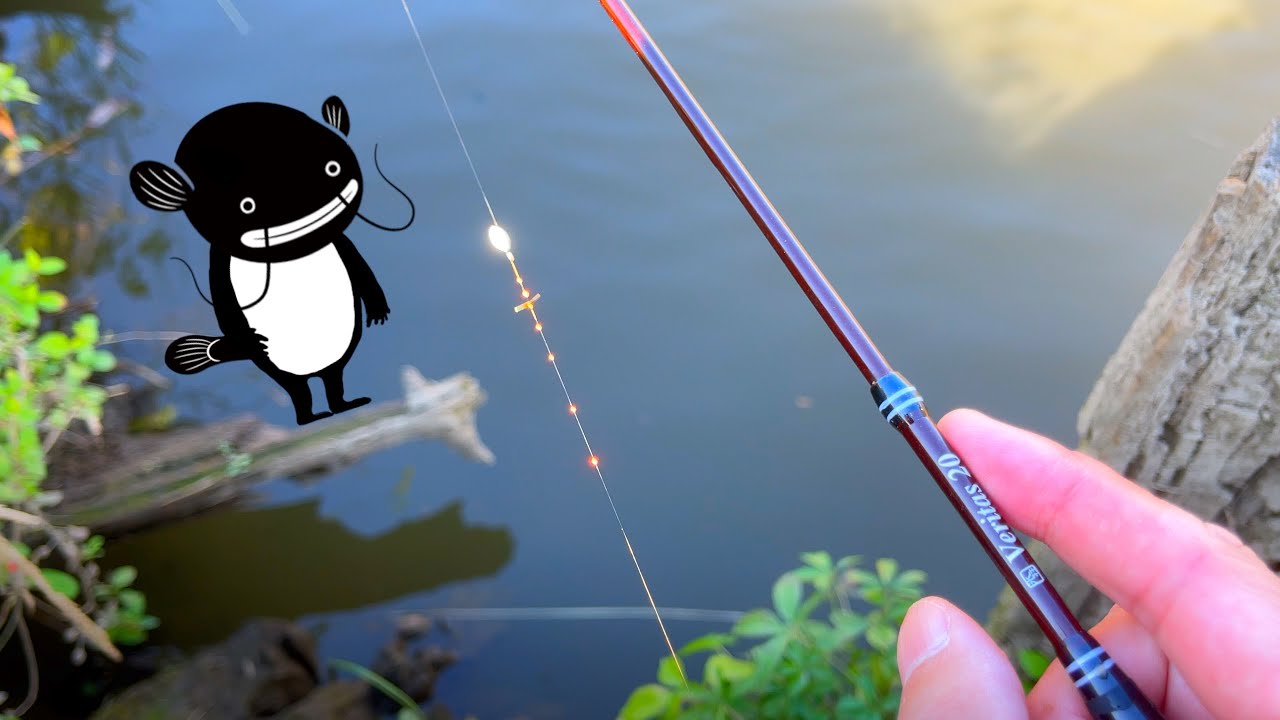 【タナゴ釣り】 初心者代表背伸びする【魚釣り】
