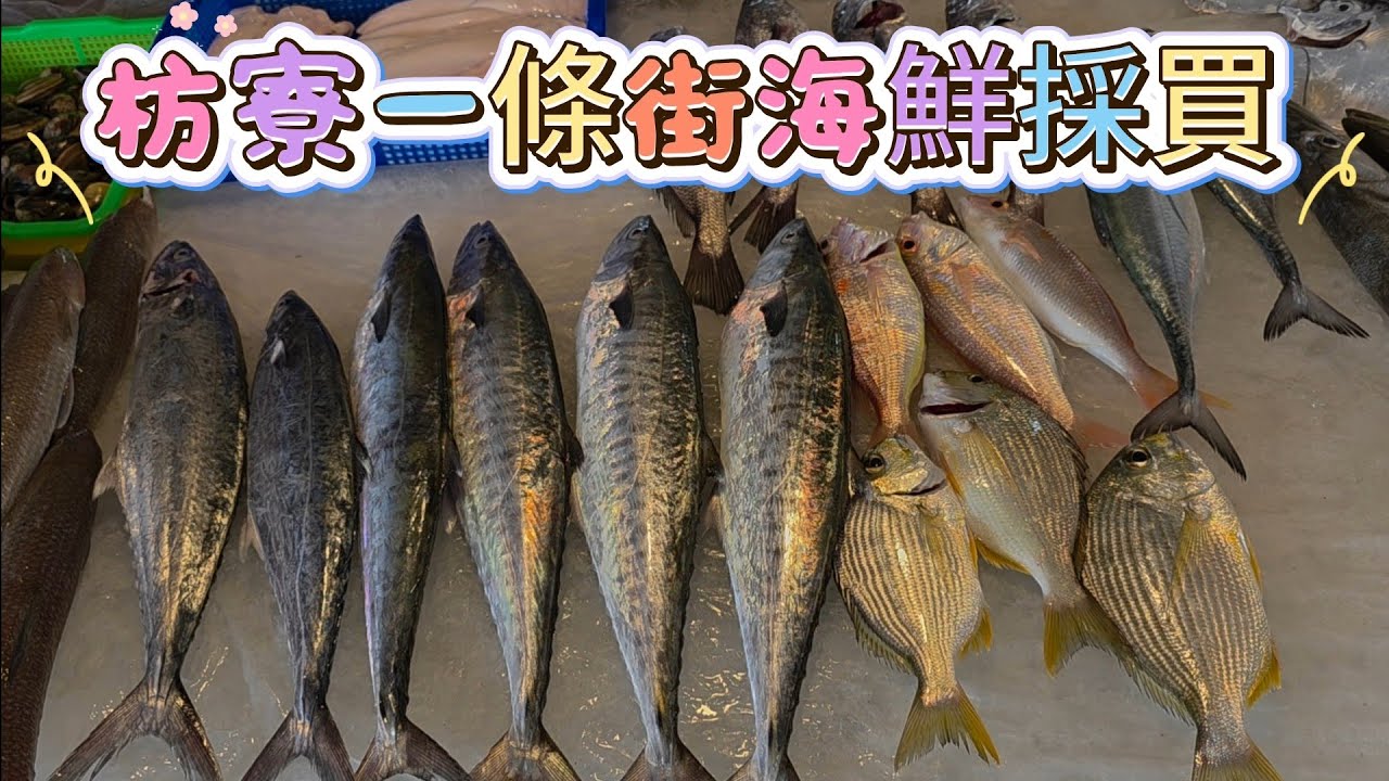 〔枋寮海鮮一條街實際採買〕觀光漁港枋寮漁港的海鮮一條街，實際採買鮮魚。