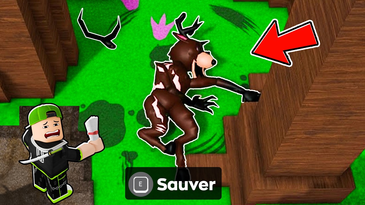 J'ai Soigné le CERF Blessé sur 99 nuits dans la forêt !