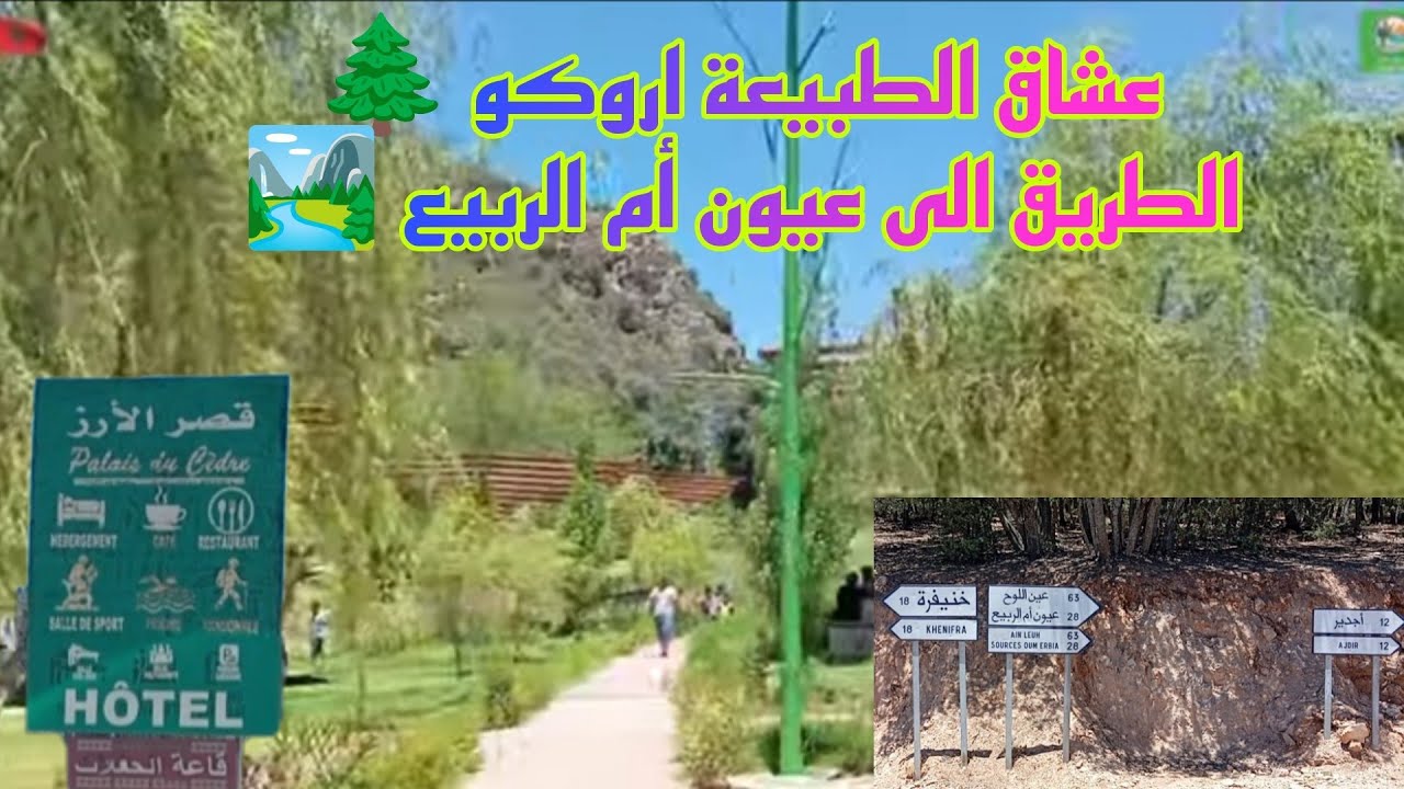 الطريق من خنيفرة 🌲في اتجاه ضاية اكلمام ازكزا 🌲🌲وكدالك عيون أم الربيع 🏞️🏞️✅🇲🇦