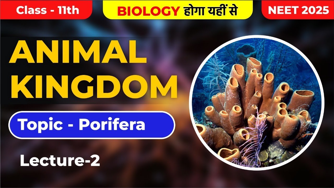PORIFERA Phylum | Animal Kingdom | Lecture-2 | Class-11 | NEET 2025 | Dr. Prabhat Ranjan Sir