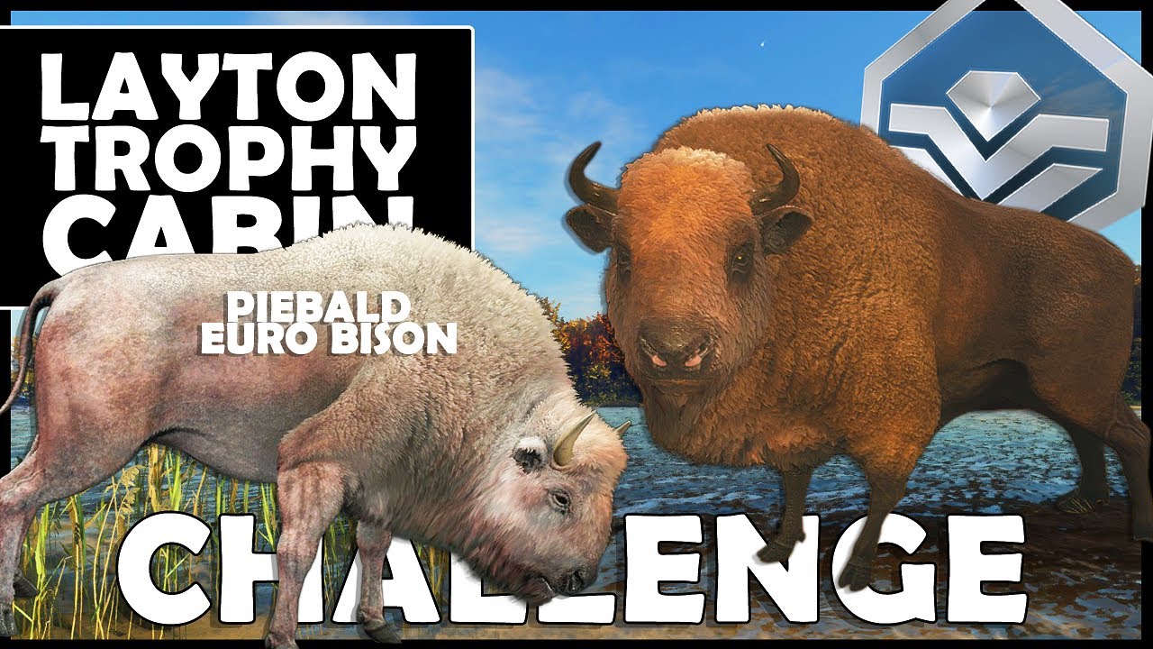 2 MORE CRAZY TROPHIES for the TROPHY CABIN!!! - Call of the Wild Ep. 2