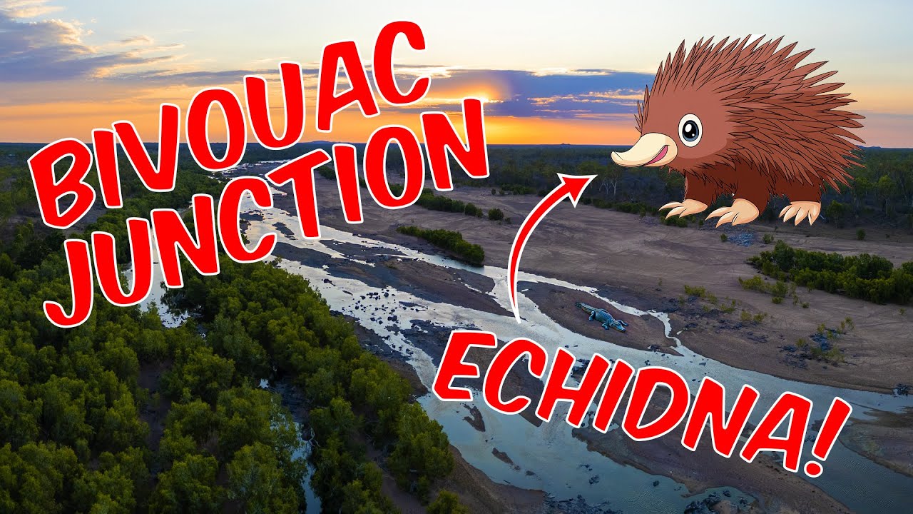 Bivouac Junction Holiday Camp