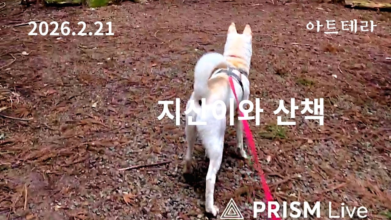 [20260221]지산이와산책