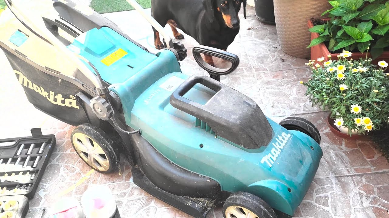 Makita lawn mower cleaning
