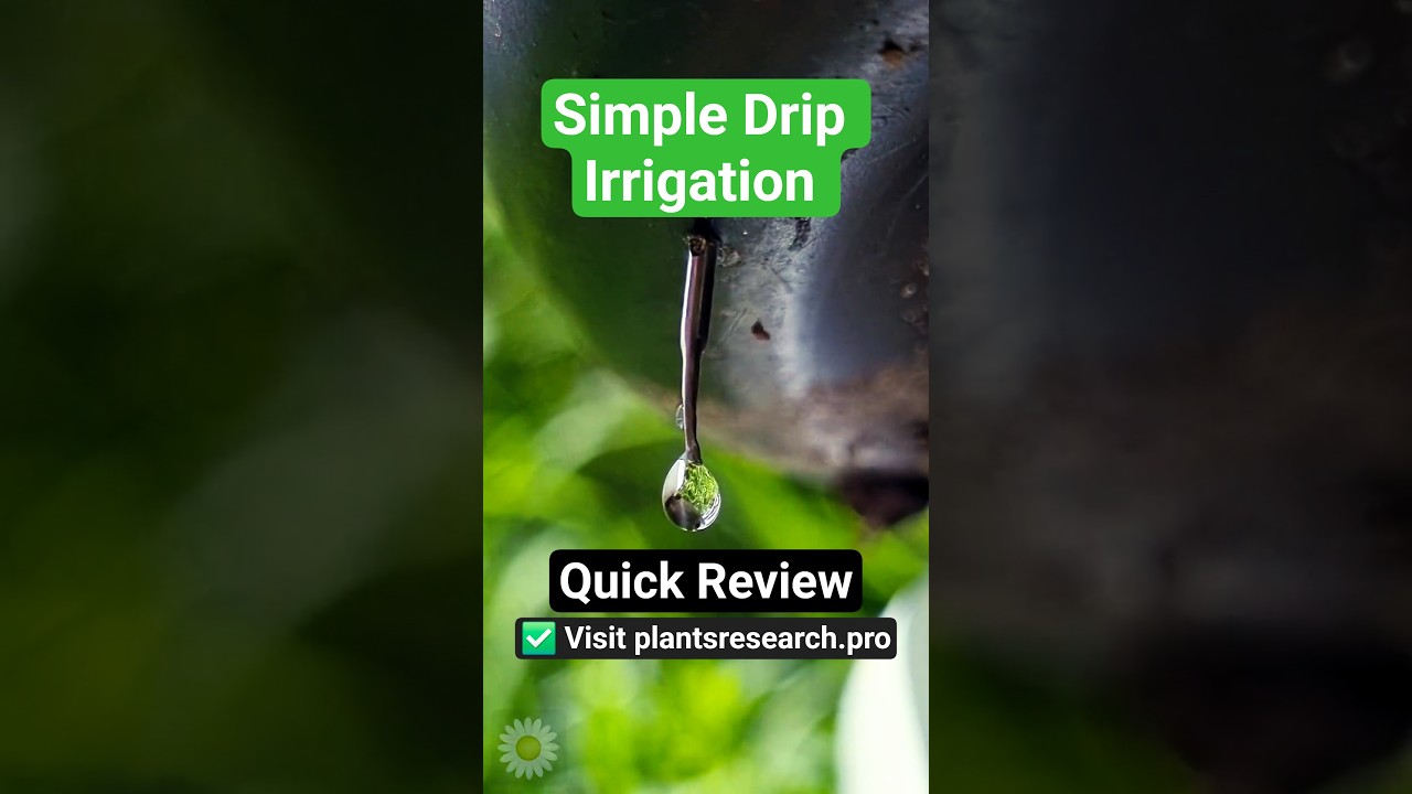 4 Simple Drip Irrigation Systems for Home Garden (Quick Review)
