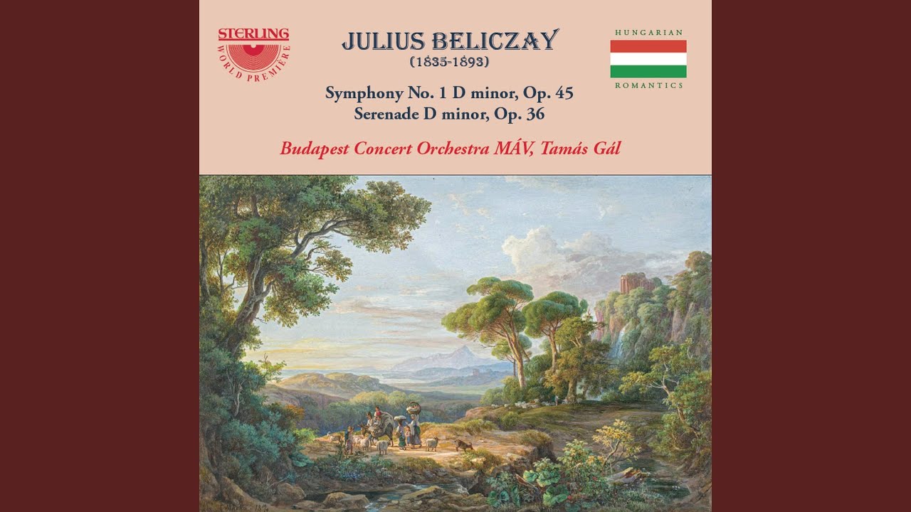 Serenade in D Minor, Op. 36: IV. Allegro con fuoco - Allegretto vivace