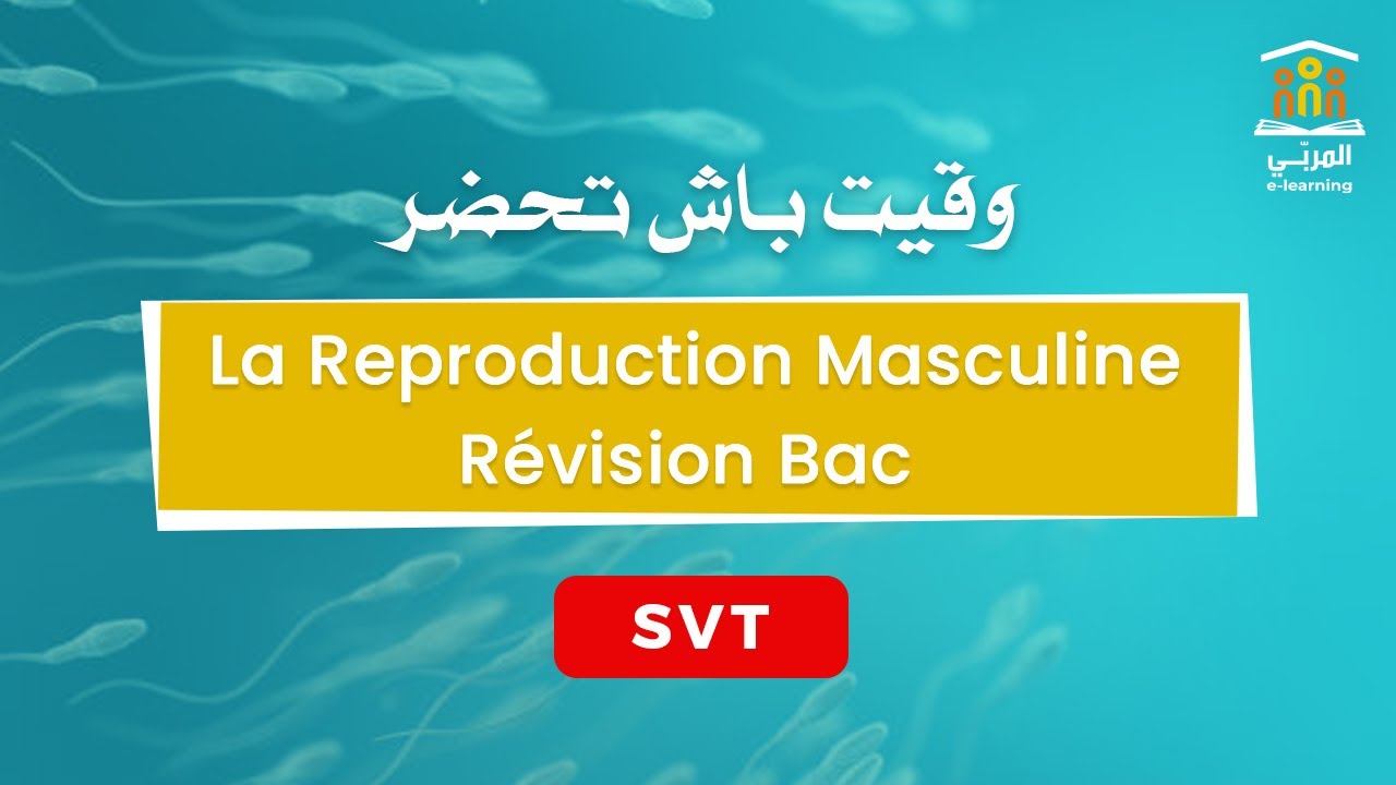 Bac Math : Série d'Exercices Corrigés - SVT : La Reproduction Masculine | Révision Bac