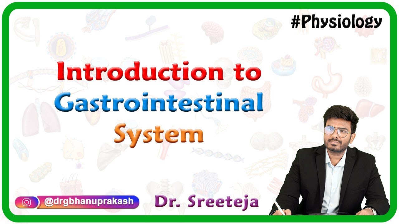 Introduction to Physiology of Gastrointestinal System : USMLE Step 1