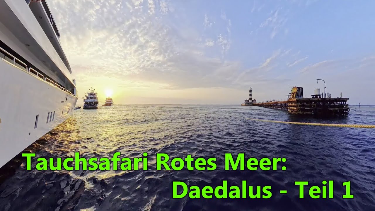 Tauchsafari MY Blue: Daedalus, Teil 1