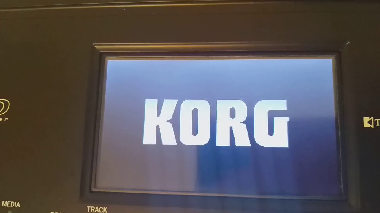 KORG PA300 