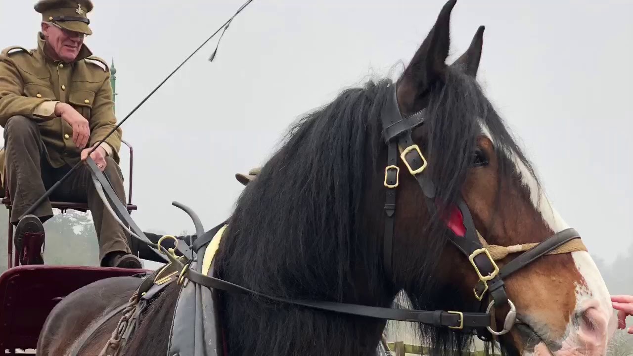 BEAMISH MUSEUM EVENT HORSES AT WAR 2018