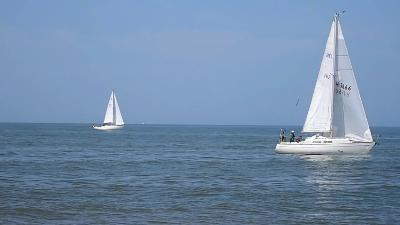 ECUME  DE MER 2018